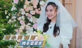 晓彤节目爆料最新消息,揭秘娱乐圈最新动态与幕后故事